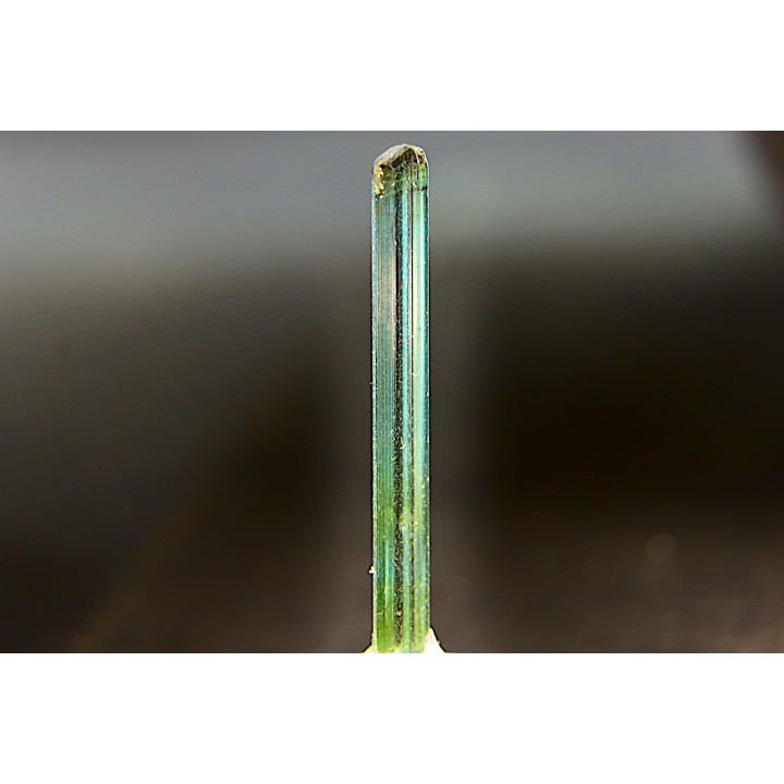 Tourmaline Elbaïte green and blue - Cruzeiro mine, Minas Gerais,  Brasil