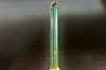 Tourmaline Elbaïte green and blue - Cruzeiro mine, Minas Gerais, Brasil