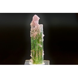 Tourmaline Elbaïte green and pink - Intiga mine, Minas Gerais,  Brasil