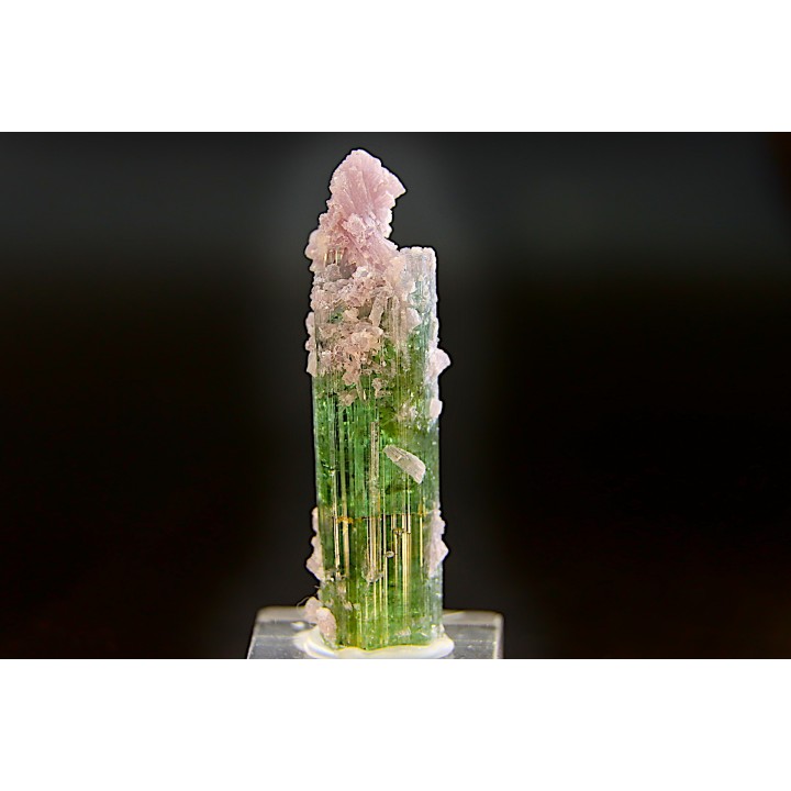 Tourmaline Elbaïte verte et rose - Intiga mine, Minas Gerais – Brésil