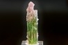 Tourmaline Elbaïte green and pink - Intiga mine, Minas Gerais, Brasil