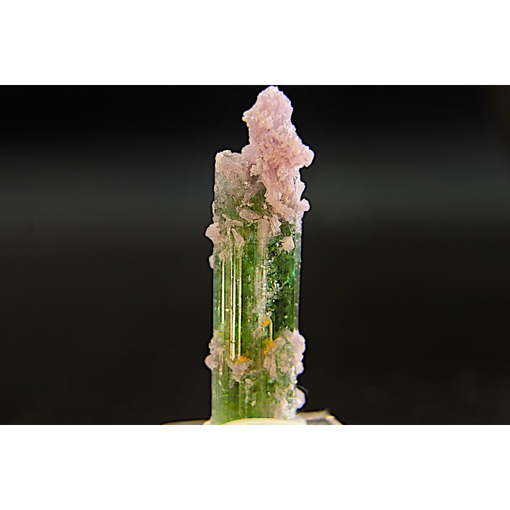 Tourmaline Elbaïte green and pink - Intiga mine, Minas Gerais,  Brasil
