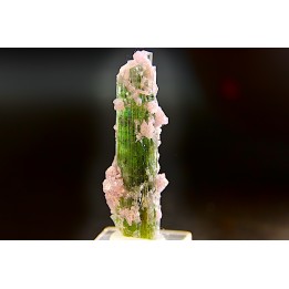Tourmaline Elbaïte green and pink - Intiga mine, Minas Gerais,  Brasil