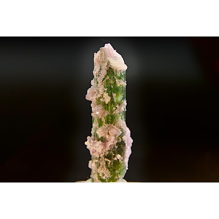 Tourmaline Elbaïte verte et rose - Intiga mine, Minas Gerais – Brésil
