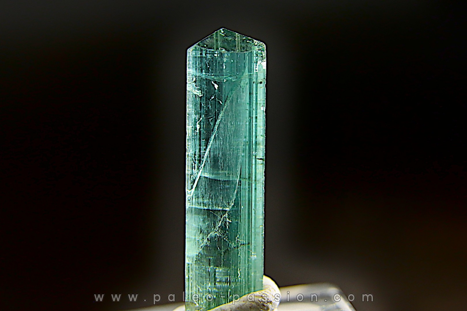 Tourmaline Elbaïte indigolite - Cruzeiro mine, Minas Gerais – Brésil