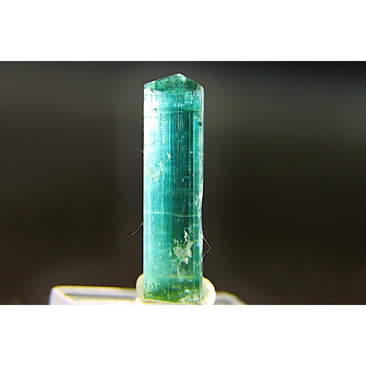 Tourmaline Elbaïte indigolite - Cruzeiro mine, Minas Gerais,  Brasil