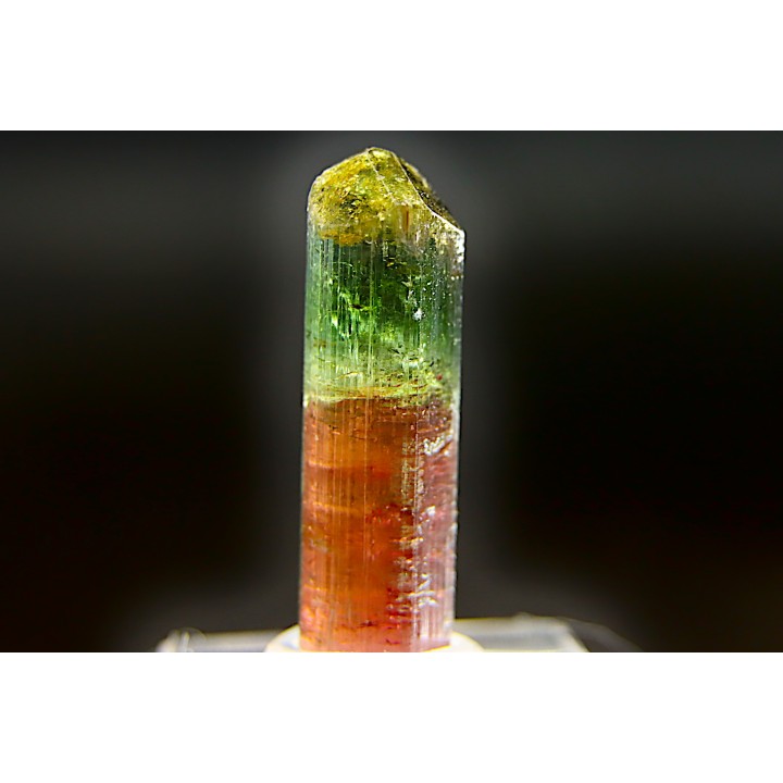 Tourmaline Elbaïte verte et rose - Cruzeiro mine, Minas Gerais – Brésil