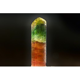 Tourmaline Elbaïte green and pink - Cruzeiro mine, Minas Gerais,  Brasil