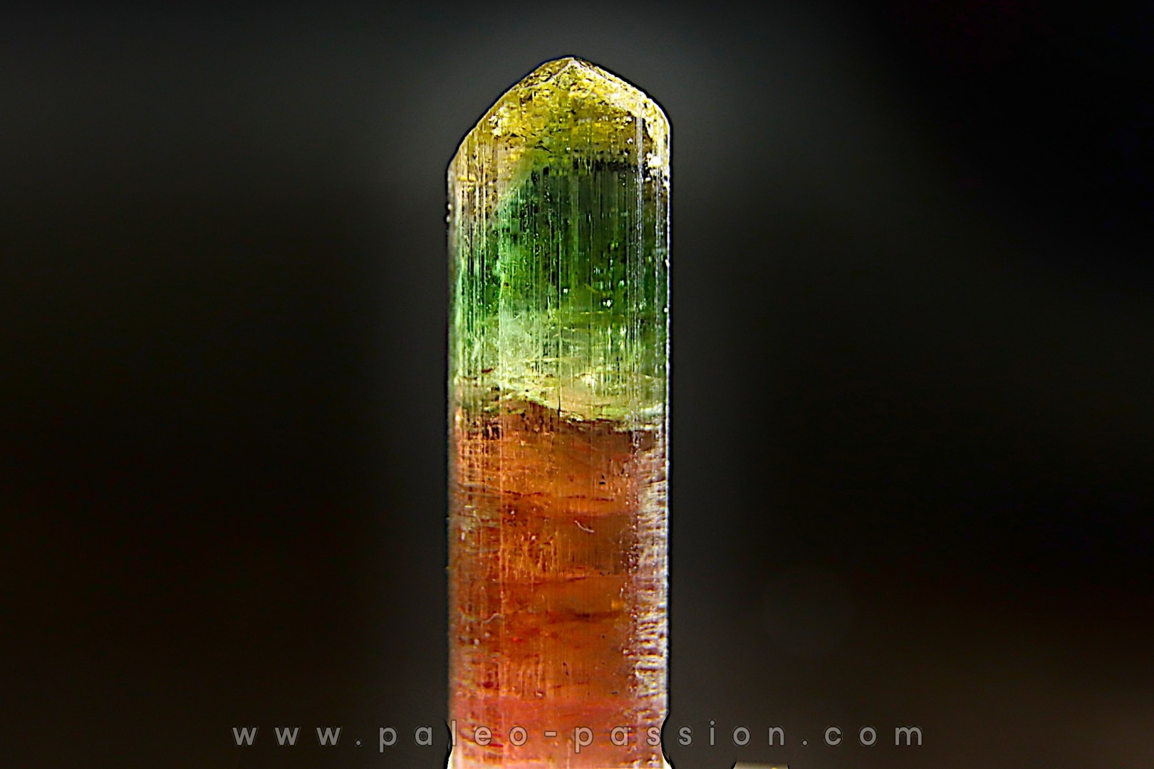 Tourmaline Elbaïte verte et rose - Cruzeiro mine, Minas Gerais – Brésil