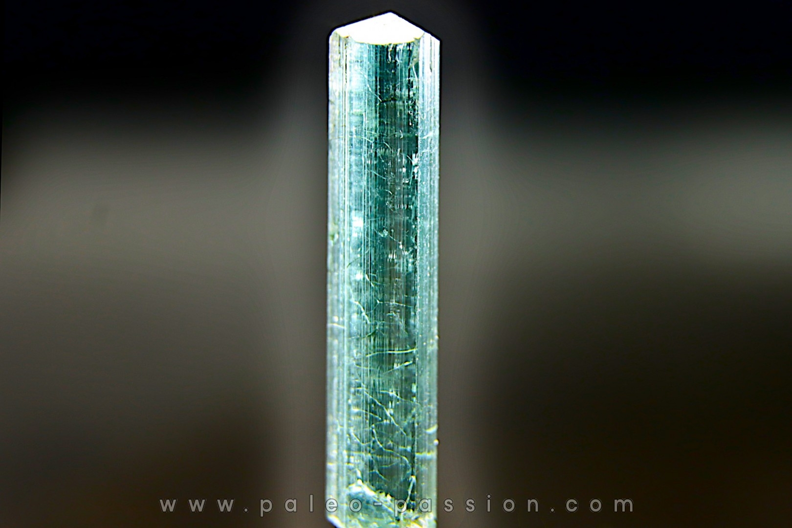Tourmaline Elbaïte indigolite - Cruzeiro mine, Minas Gerais – Brésil
