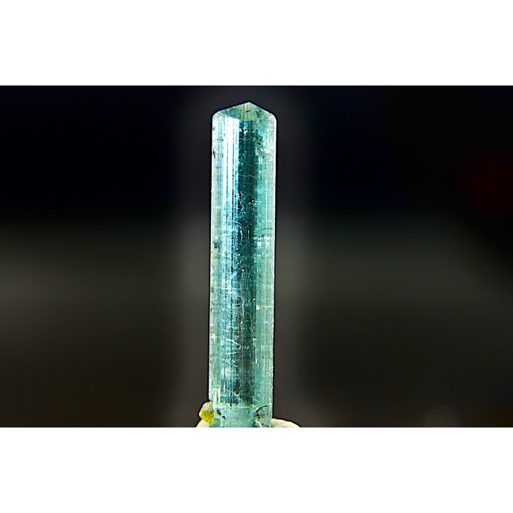 Tourmaline Elbaïte indigolite - Cruzeiro mine, Minas Gerais,  Brasil