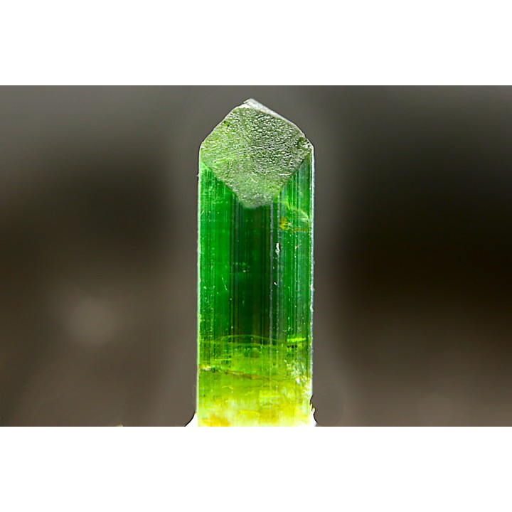 Tourmaline Elbaïte green - Cruzeiro mine, Minas Gerais,  Brasil