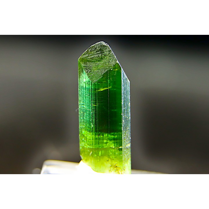 Tourmaline Elbaïte green - Cruzeiro mine, Minas Gerais,  Brasil