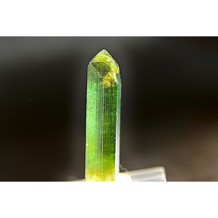 Tourmaline Elbaïte verte - Cruzeiro mine, Minas Gerais – Brésil