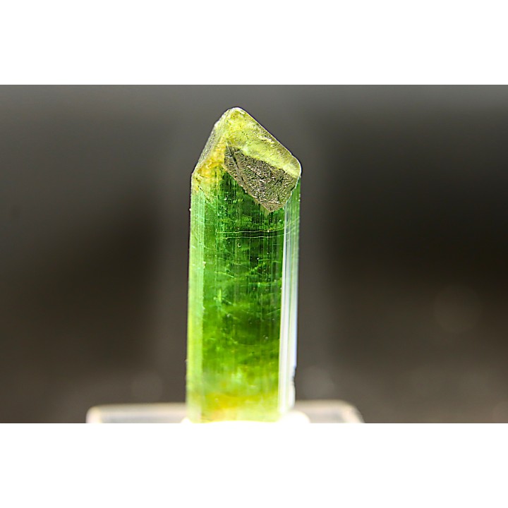 Tourmaline Elbaïte green - Cruzeiro mine, Minas Gerais,  Brasil