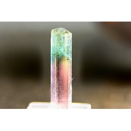 Tourmaline Elbaïte verte et rose - Cruzeiro mine, Minas Gerais – Brésil