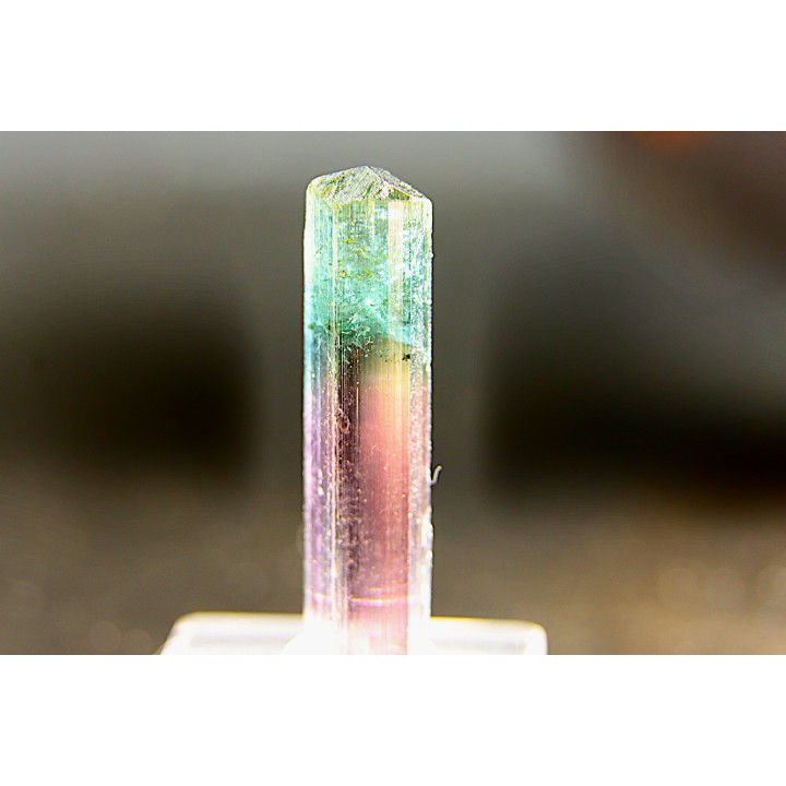 Tourmaline Elbaïte verte et rose - Cruzeiro mine, Minas Gerais – Brésil
