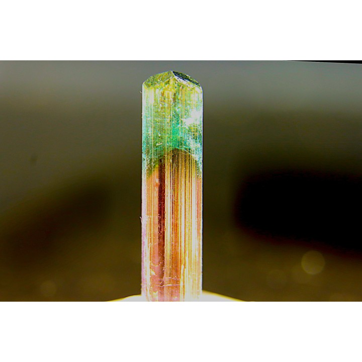 Tourmaline Elbaïte verte et rose - Cruzeiro mine, Minas Gerais – Brésil