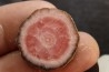Rhodochrosite  Mina Capillitas, Andalgala, ARGENTINE