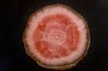Rhodochrosite  Mina Capillitas, Andalgala, ARGENTINE