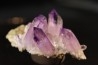 Quartz Amethyste - Veracruz, Mexique
