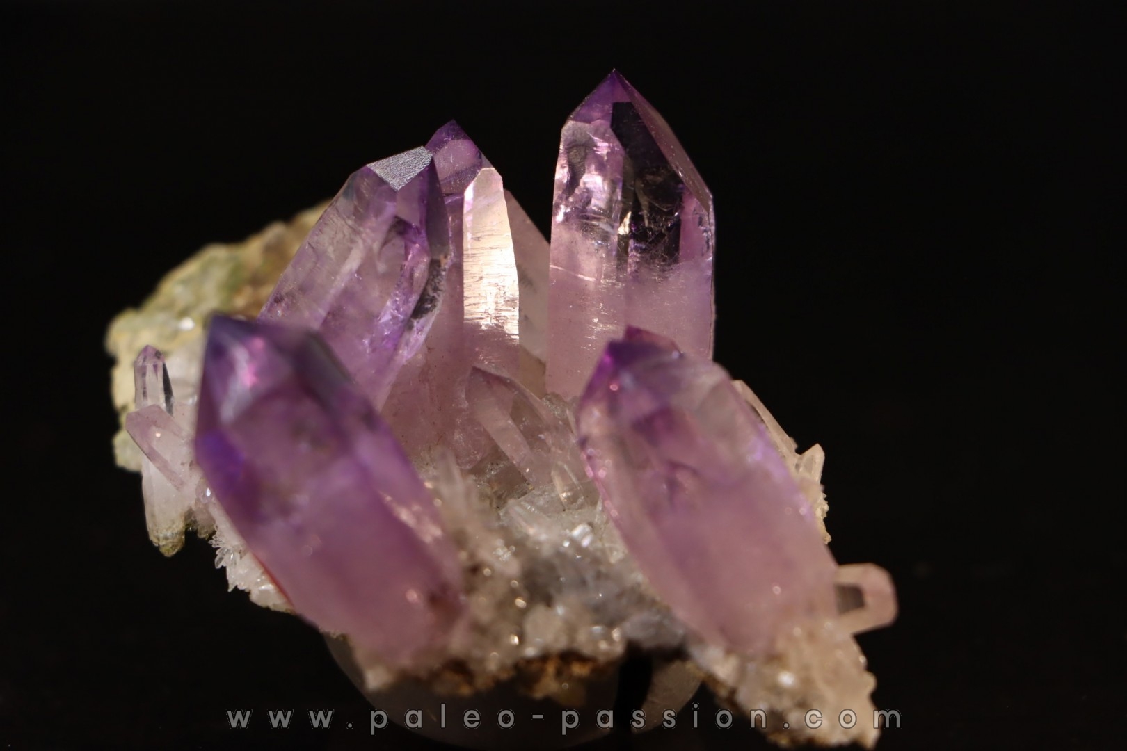 Quartz Amethyste - Veracruz, Mexique