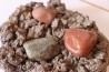 Gastrolith of Dinosaur - Lower Cretaceous - Cloverly formation - Montana -USA