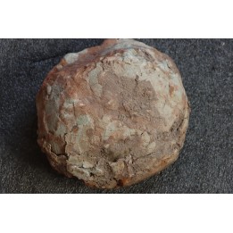 DINOSAUR EGG , cretaceous from france