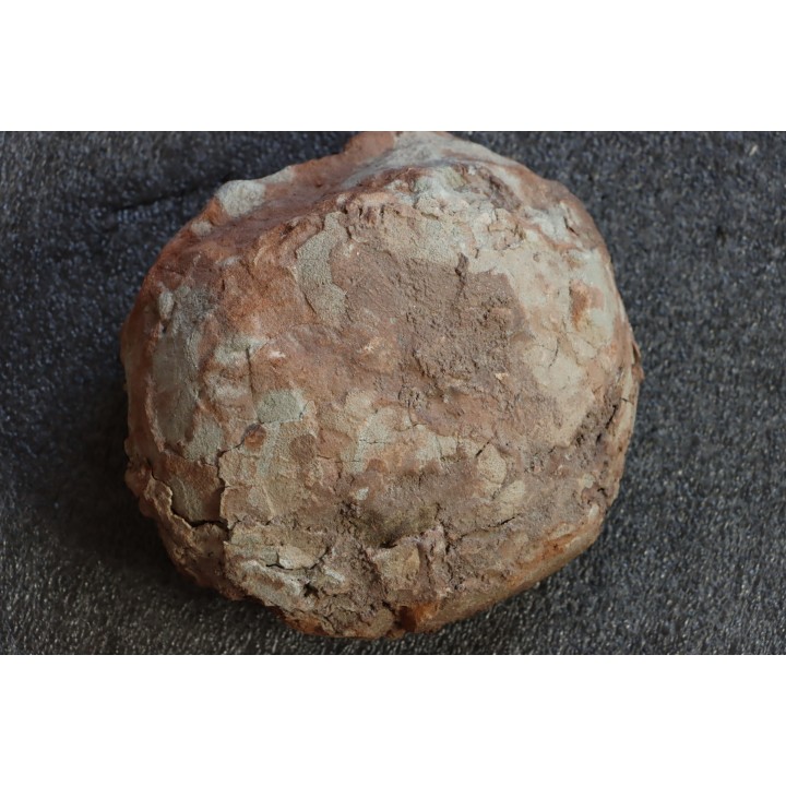 OEUF DE DINOSAURE crétacé du sud de la France