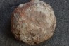 OEUF DE DINOSAURE crétacé du sud de la France