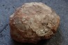 DINOSAUR EGG , cretaceous from france