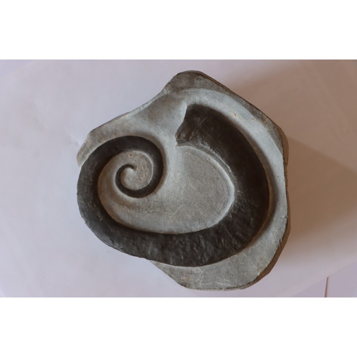 rare ammonite: LYTOCRIOCERAS  barremien  Provence,  FRANCE