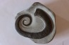 rare ammonite: LYTOCRIOCERAS barremien Provence, FRANCE