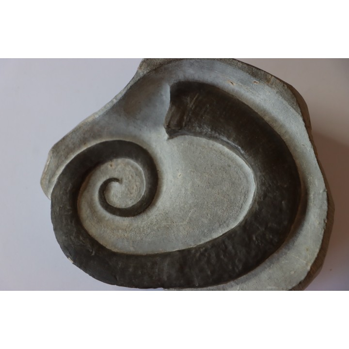 rare ammonite: LYTOCRIOCERAS  barremien  Provence,  FRANCE