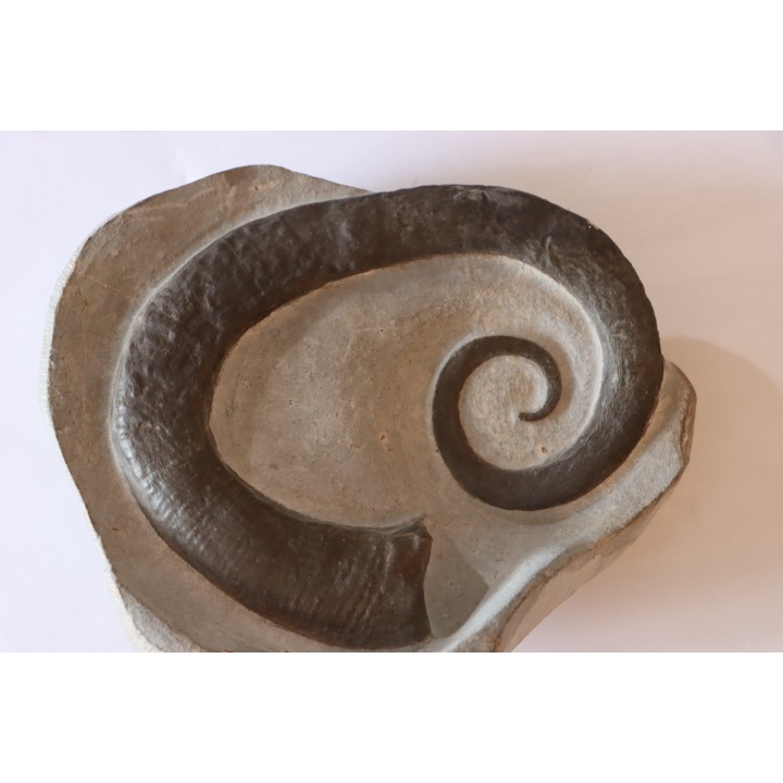 rare ammonite: LYTOCRIOCERAS  barremien  Provence,  FRANCE