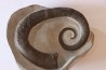 rare ammonite: LYTOCRIOCERAS barremien Provence, FRANCE