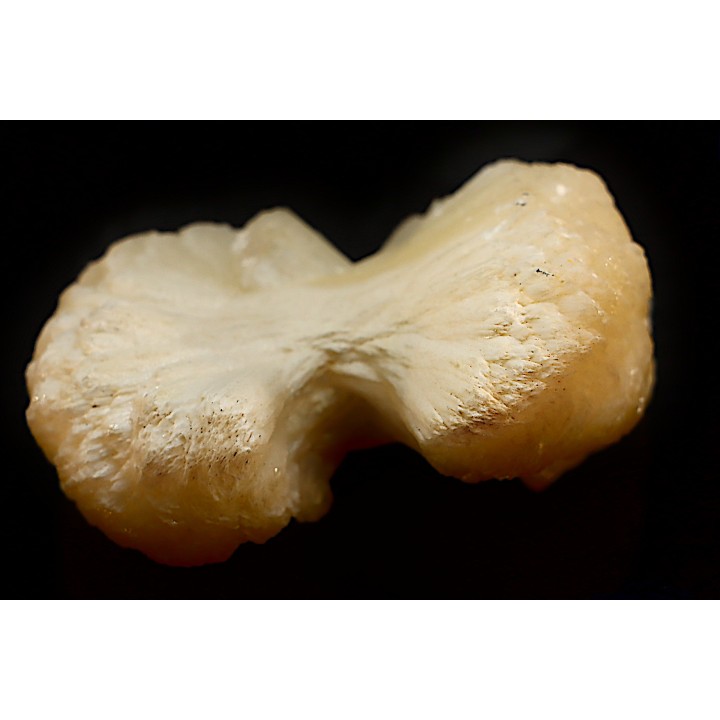 belle stilbite en forme de nœud papillon   INDE
