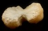 stilbite - INDIA