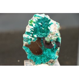 dioptase  (cut and polish)  Mindouli, RD Congo