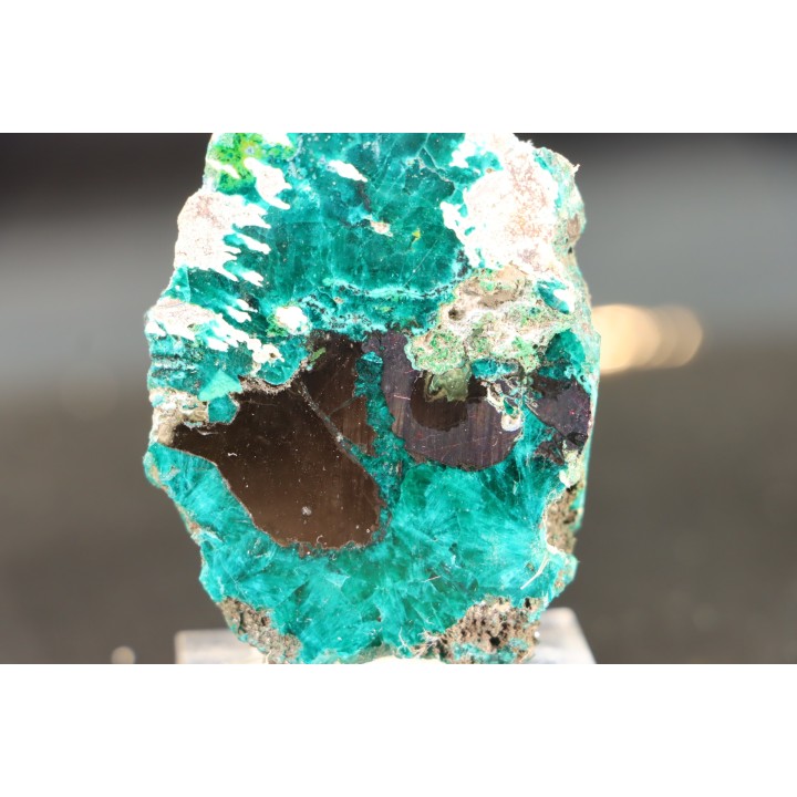 Belle dioptase sciée/poli  Mindouli, RD Congo