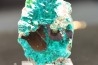 Belle dioptase sciée/poli Mindouli, RD Congo