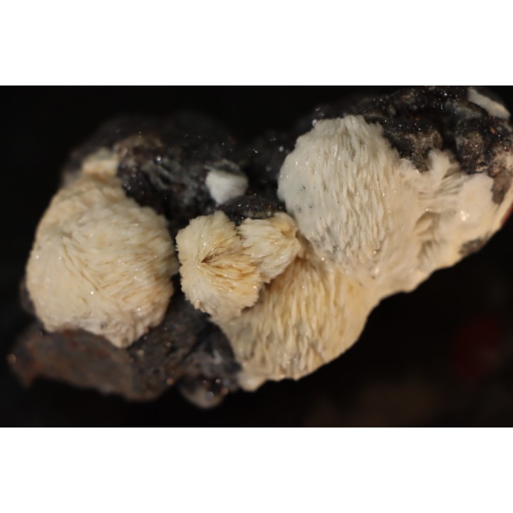 Baryte - Les Malines, Saint-Laurent-Le-Minier, Gard - FRANCE