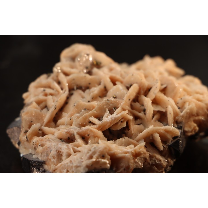 Baryte rose et Chalcopyrite sur galène - mine d'Oumjrane, région d'Alnif, Maroc