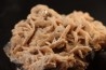 Baryte rose et Chalcopyrite sur galène - mine d'Oumjrane, région d'Alnif, Maroc