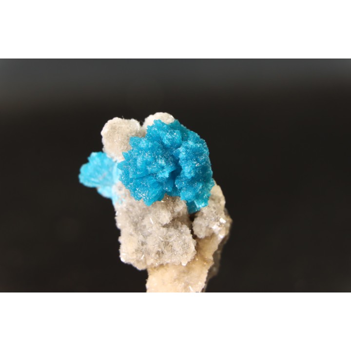 Cavansite sur stilbite - Wagholi, Poona, Maharashtra, Inde