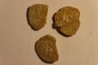 Plicatula placunea - Bedoulien - Laval St Roman, FRANCE