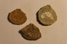 Plicatula placunea - Bedoulien - Laval St Roman, FRANCE