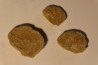 Plicatula placunea - Bedoulien - Laval St Roman, FRANCE