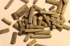 Balanocrinus subteres  Oxfordien  Montmarlon (39)