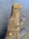 dinosaure VERTEBREA: TRICERATOPS HORRIDUS